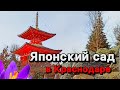 КРАСНОДАР: ЯПОНСКИЙ САД В ПАРКЕ ГАЛИЦКОГО ВЕСНОЙ 2024