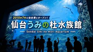 Sendai Uminomori Aquarium opens at Sendai Port in July 2015! - Japan HD