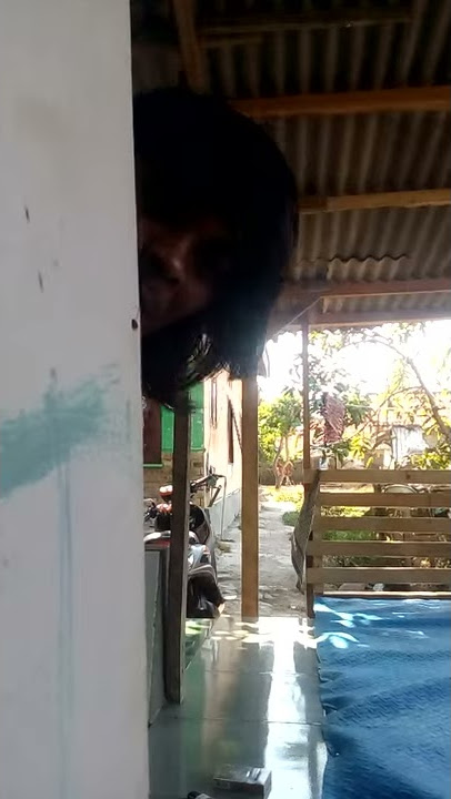 utang duite