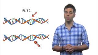 Week 2 Video 4: Other Determinants of Susceptibility