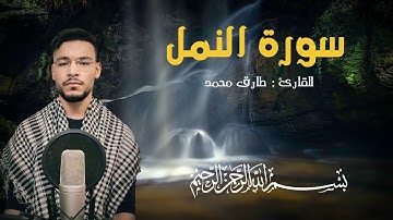 القارئ طارق محمد - سورة النمل | Tariq Mohammed - Surat Al Naml