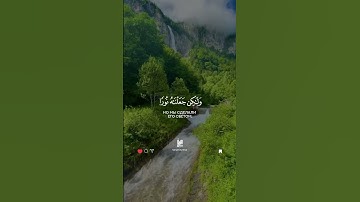 42 Совет | Ash-Shuraa | سورة الشورى verse 52 Tareq Mohammad Мухаммад Тарик