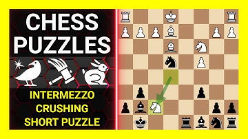 Chess Puzzles to Practice. Themes: Intermezzo, Crushing, Short puzzle. Learn Chess