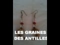 LES GRAINES DES ANTILLES