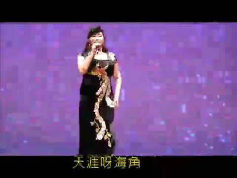 天涯歌女  演唱： 高麗