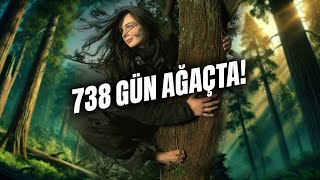 Kadim Bir Ağacın Zirvesinde 738 Gün Julia Erfly Hill