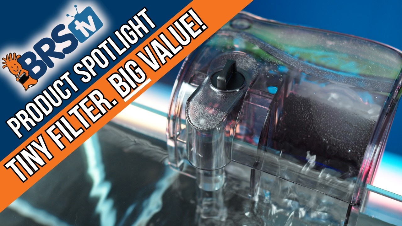 Mighty Aquarium Filter: A Simple Solution for Tiny Reefs, QT Tanks & More