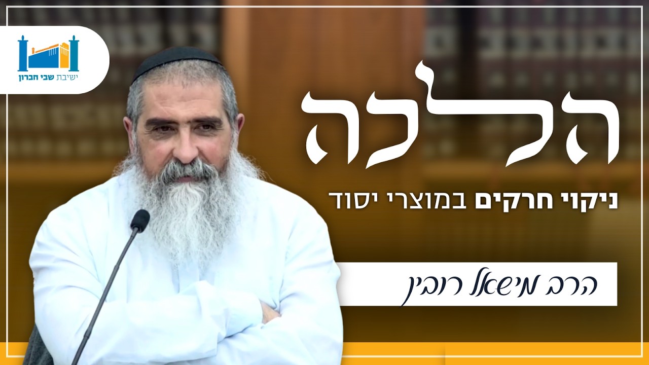 ניקוי חרקים במוצרי יסוד | הרב מישאל רובין | הלכה | תשפ''ו [4]