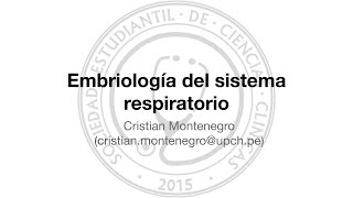 Embriología del sistema respiratorio (parte 2)