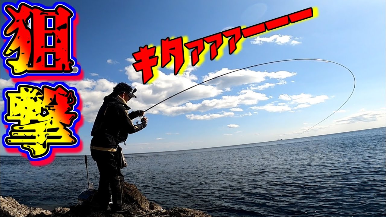 君達！そこに潜伏してることは分かってますよ！