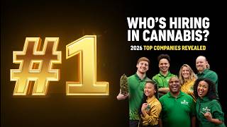 Top 15 Cannabis Companies to Work For in 2026?! Remote Jobs, Benefits & Big Opportunities