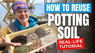 Can You Reuse Potting Soil? - A Beginner's Guide To Recycling Potting Soil