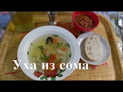 ЛУЧШАЯ УХА ИЗ СОМА. Босяцкая кухня.