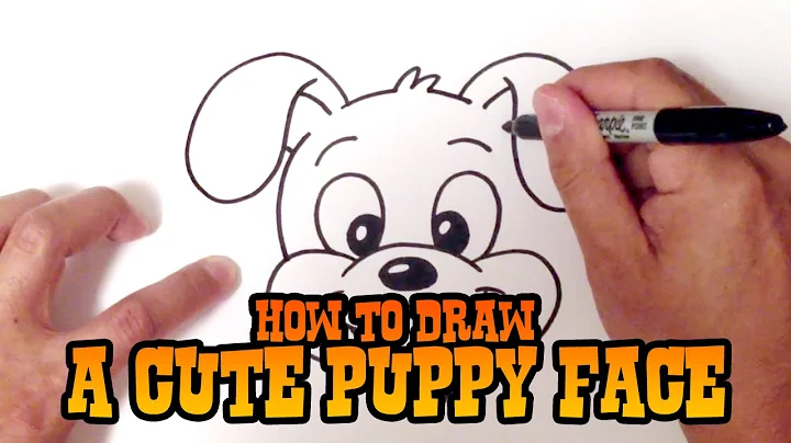 How to Draw a Dog Face - Step by Step for Beginners