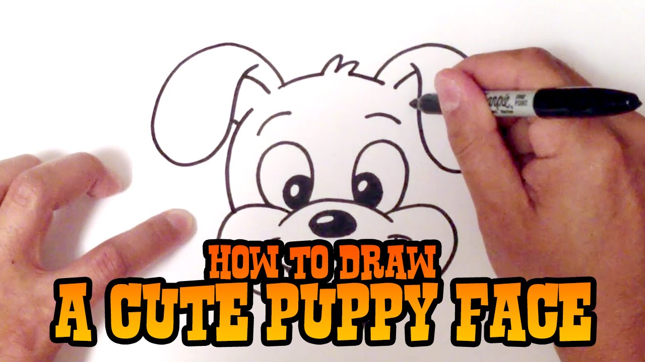 How to Draw a Dog Face - Step by Step for Beginners - YouTube