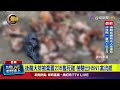 禽流感疫情擴散