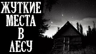 Жуткие Места в Лесу. Страшные Истории на Ночь (3в1)