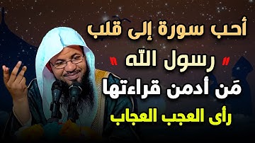 أحب سورة إلى قلب رسول الله من أدمن قراءتها رأي العجب العجاب، لها فضل عظيم الشيخ محمد بن علي الشنقيطي