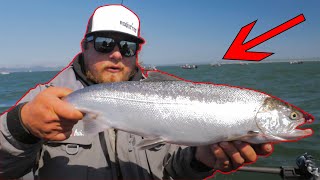 Buoy 10 Astoria Salmon Fishing BEATDOWN! (Catch & Cook)