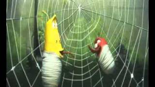 Larva - Spider.mp4