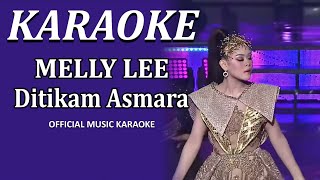 KARAOKE Melly Lida Ditikam Asmara - Lida 2020 ||  Karaoke Lirik