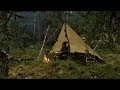 Overnight In Cold Rain Weather - Solo Bushcraft Wild Camp, Pot Hanger, Campfire Cooking, Tarp