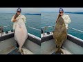 Massive halibuts alaska fishing catch clean  cook