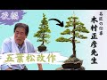【後編】名匠の仕事~木村正彦先生盆栽改作~