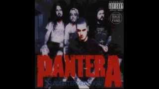 Pantera - Slaughtered Show [Live @ Osaka 05/01/94] (Disc 1/2)