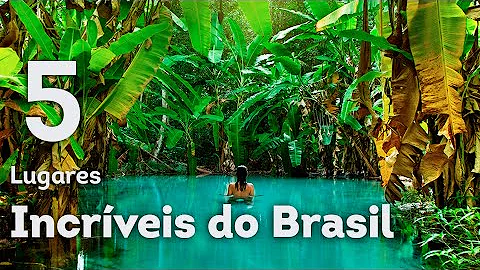 Quais as praias mais cristalinas do Brasil?