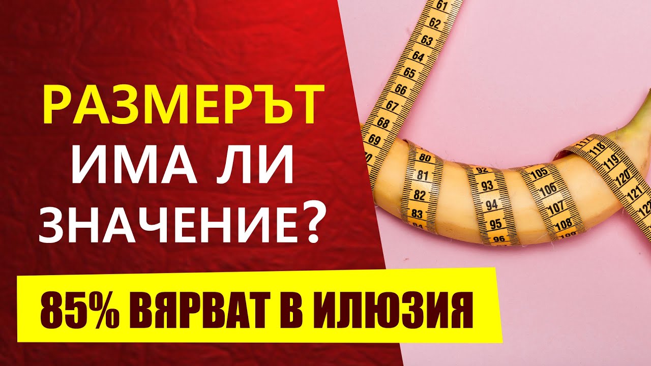 Член Еле Влез Член Еле Влез