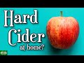 Sparkling Sweet Spiced Hard Cider from Store Bought Juice?