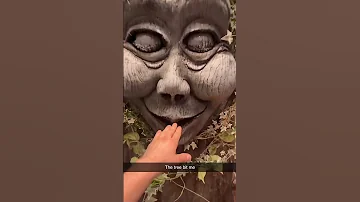 Scary Tree Bit Me 