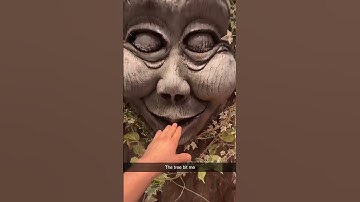 Thumbnail of Scary Tree Bit me 😭