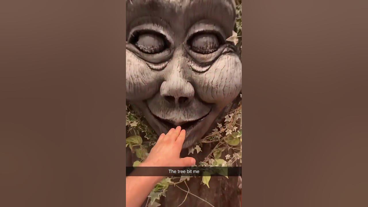 Scary Tree Bit me 😭