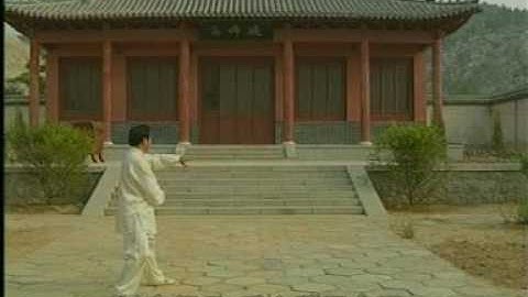 Cheng Shi Ba Gua Zhang   Ba Da Mu Zhang 1