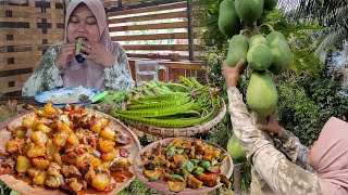 Wajib Coba.. Pepaya Muda Dimasak Sambel Goreng Bikin Nambah Terus, Menu Murah Rasa Mewah