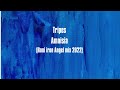 Tripes  amnisia roni iron angels mix 2022