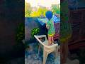 #🕊️🚩kabutar shayari#🕊️Baaz ne kabutar ka Shikar kya 🥲 #short# video# viral#🇮🇳
