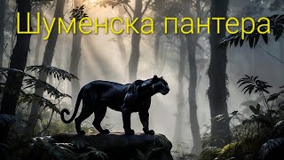 Шуменска пантера - песен