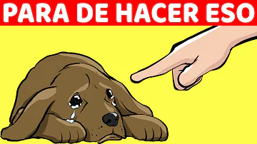 ¿Por qué dejas de gustar a los perros?