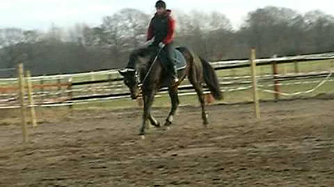 Jessica rider Payback Lady