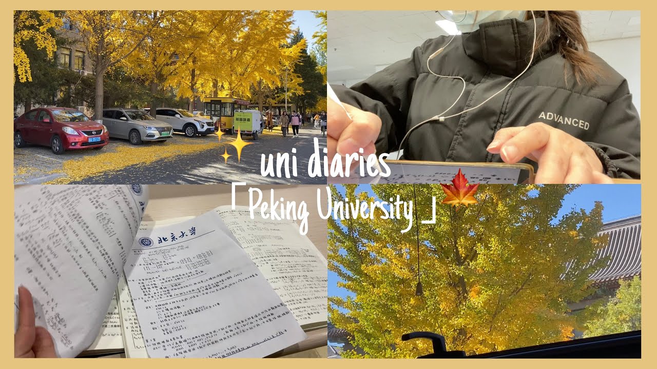 🍁Uni diaries|PKU Vlog|1วันในมหาวิทยาลัยปักกิ่ง🇨🇳|Peking University Vlog|เรียนต่อที่จีน|留学📔📝⛅️