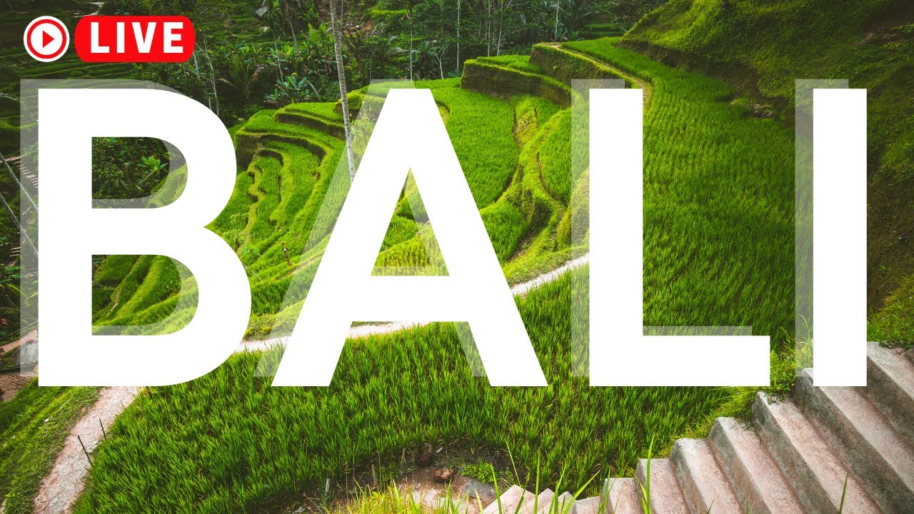 BALI Deep Sleep Piano Music & Relaxation From Insomnia 🚦Nature Sounds