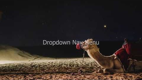 #2 HTML and CSS Dropdown Menu 2020