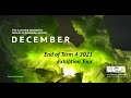 TLC December Exhibition 2021 Video Tour