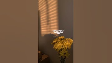 وعسى أن تكرهوا شيئاً وهو خير لكم | قرآن كريم✨