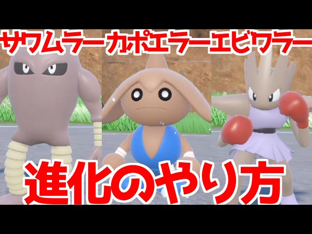 ポケモンSV 藍の円盤】 バルキー エビワラー サワムラー カポエラー