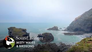 Above the Misty Atlantic | Waves and Seabirds at Trevellas, St Agnes