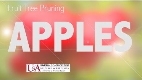 Fruit Tree Pruning - APPLES